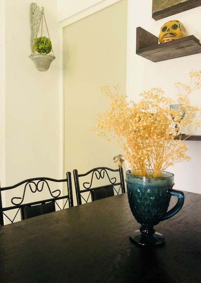 Apartmán Flamingos Ixtapa  Exteriér fotografie